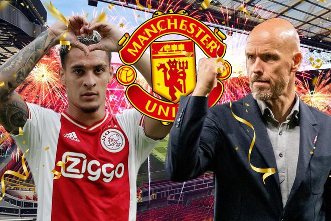 综合支持系 综合支持系